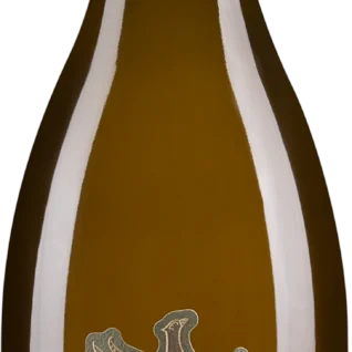 Qvevris Kisi